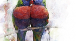 Watercolor Image Of  Parrots